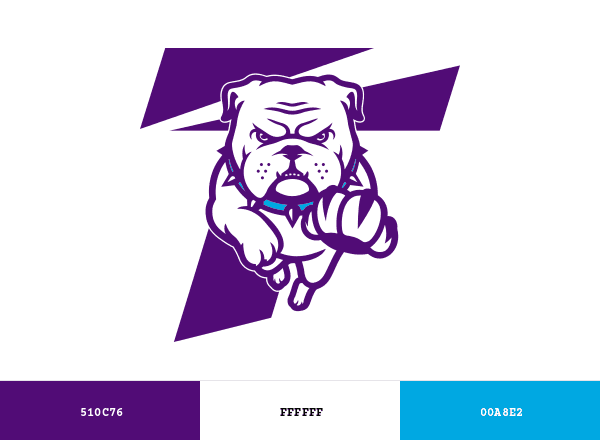 Truman Bulldogs brand color palette