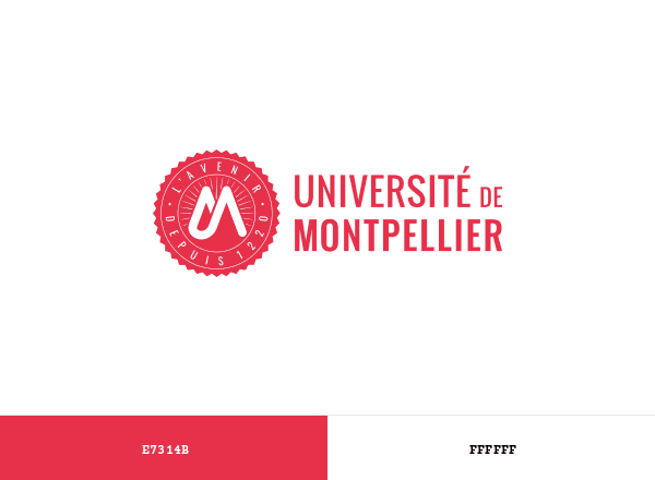 Université Montpellier brand color palette