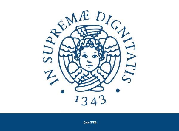 University of Pisa brand color palette