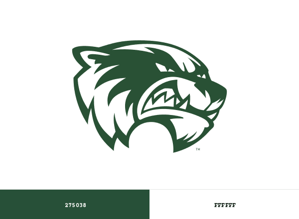 Utah Valley Wolverines brand color palette