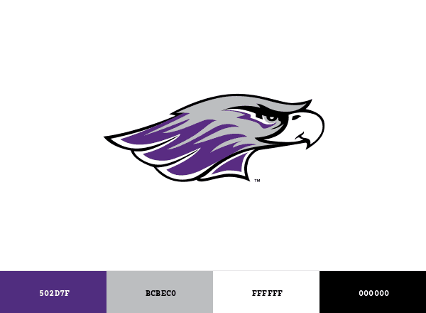 Wisconsin–Whitewater Warhawks brand color palette