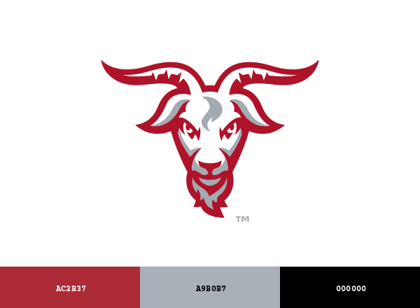 WPI Engineers brand color palette