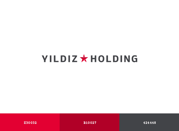 Yildiz Holding brand color palette