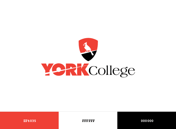 York College – CUNY brand color palette