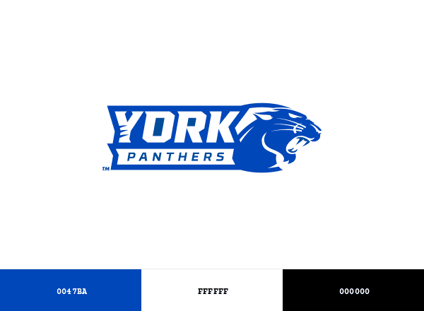 York Panthers brand color palette