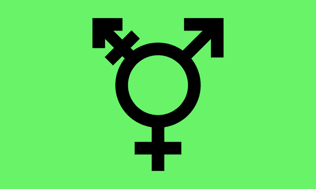 Israeli Transgender