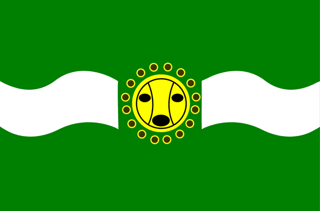 Camuy