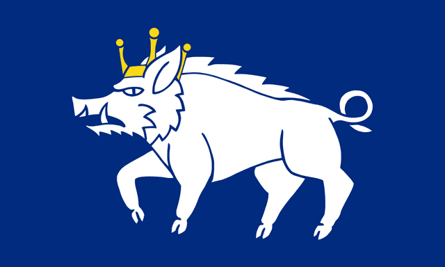 Kingswinford