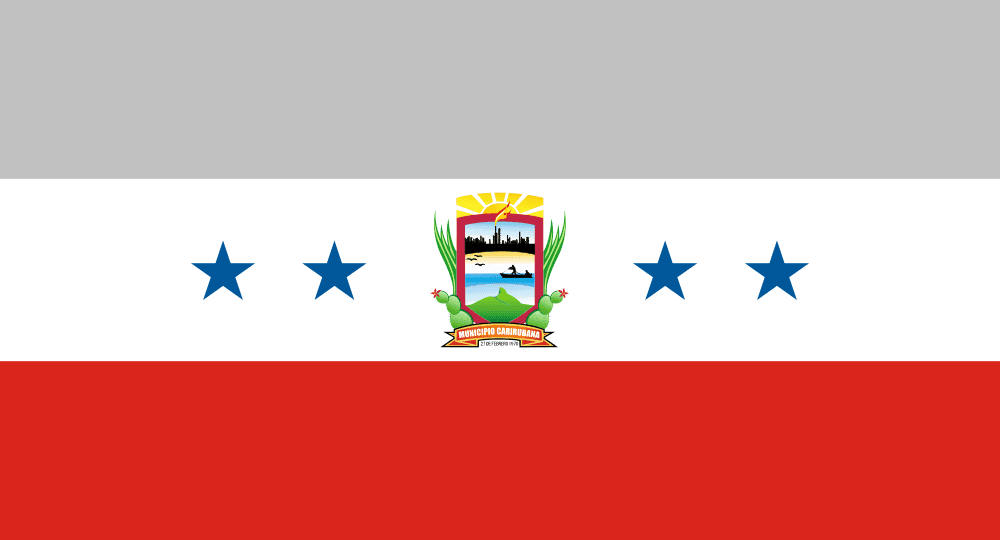 Punto Fijo