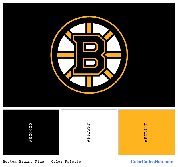 Boston Bruins flag color palette