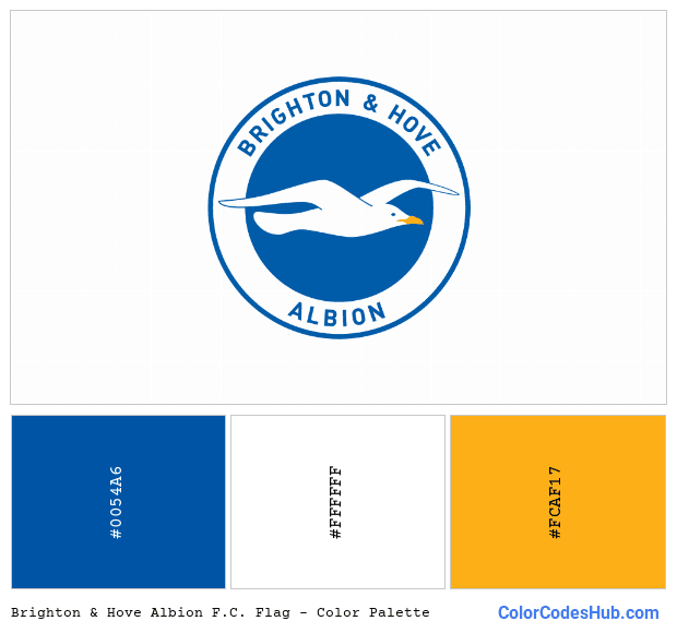 Brighton & Hove Albion F.C. flag color palette