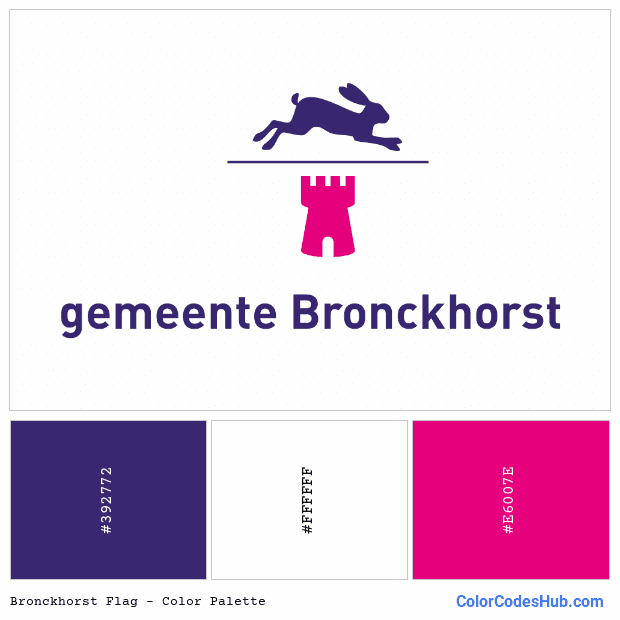 Bronckhorst flag color palette