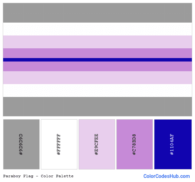 Paraboy flag color palette