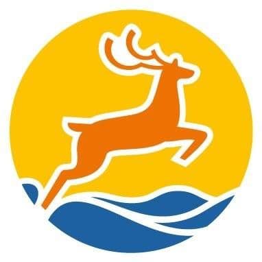 Dodekanisos Seaways color logo