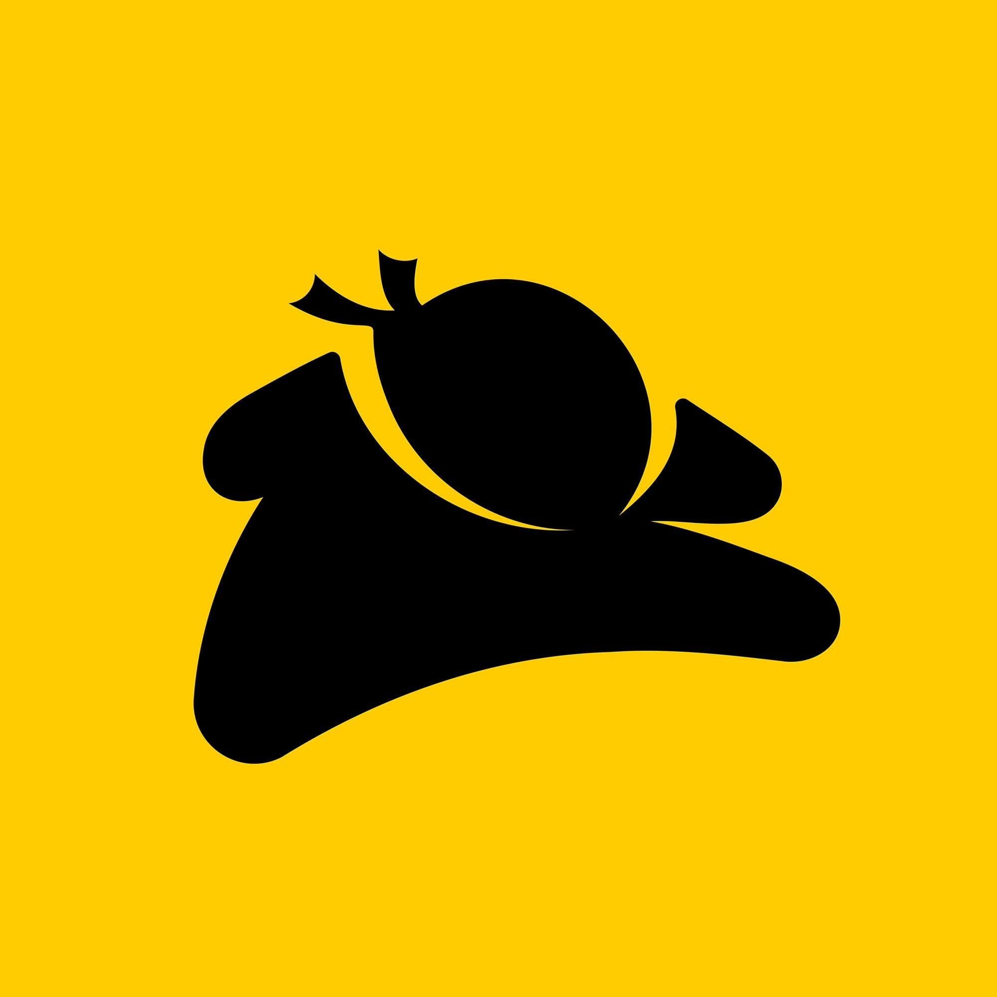 21Ninjas color logo