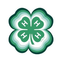 4-H