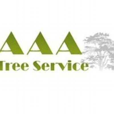 Aaatreeserviceny.Com color logo