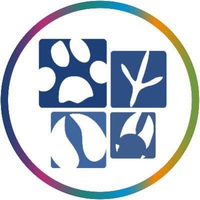 AAVSB color logo