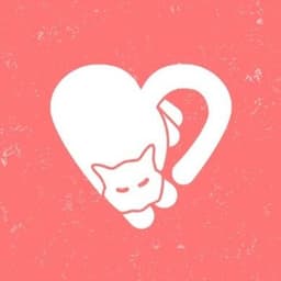 Albuquerque Cat Clinic | Albuquerque NM
