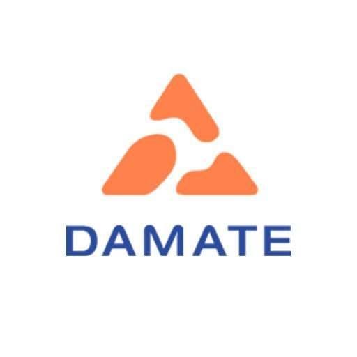 Damate color logo