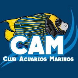 CAM