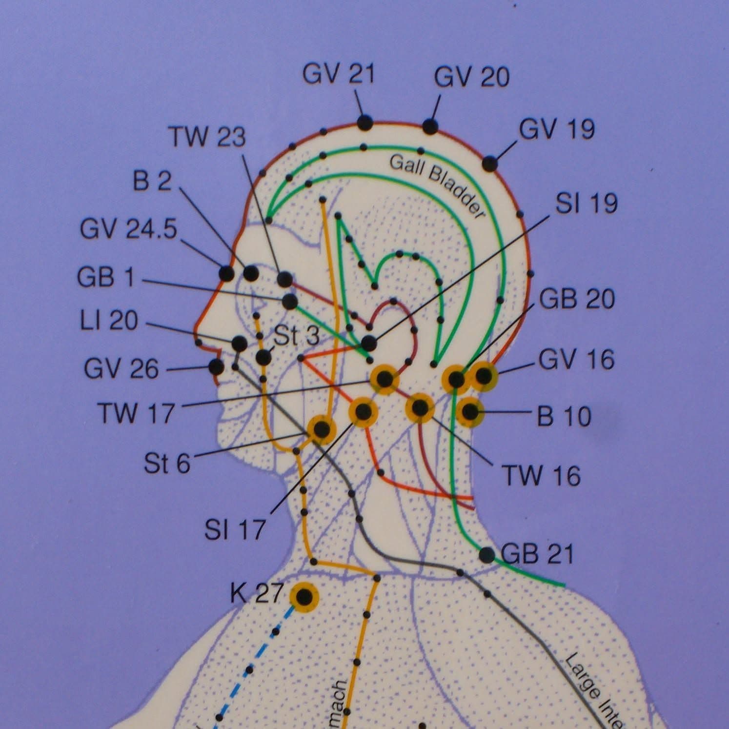 Acupressure color logo