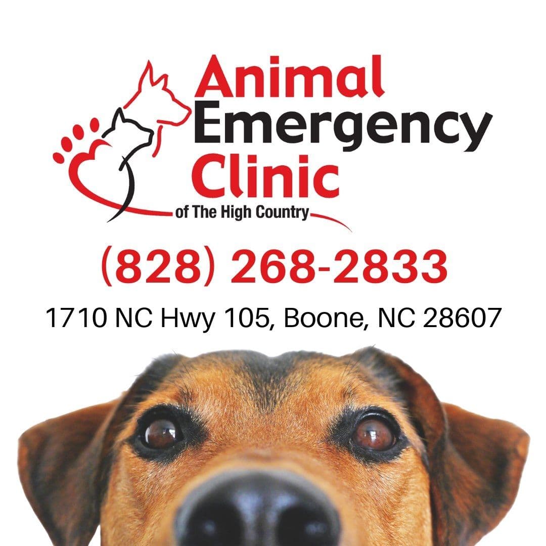 Animal Emergency Clinic of the High Country color logo
