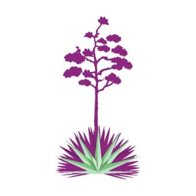 Agave Environmental Contracting color logo