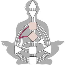 A Human Design