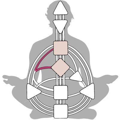 A Human Design color logo