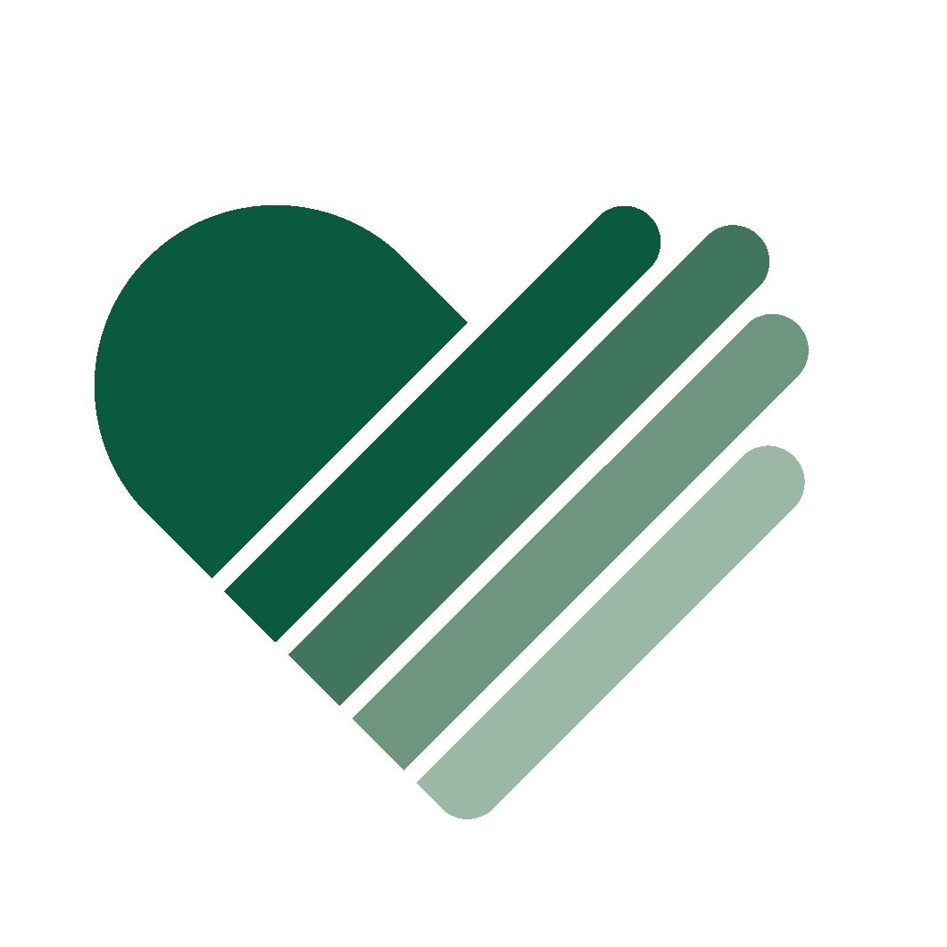 Aidura color logo