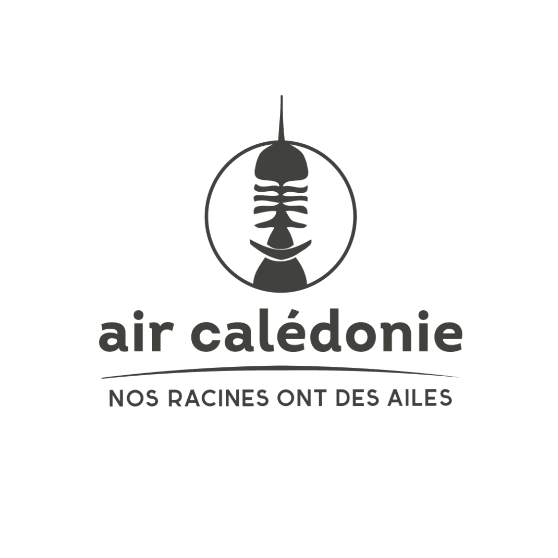 Air Calédonie color logo