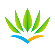 Air Caraibes color logo