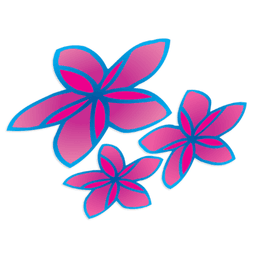 Air Rarotonga