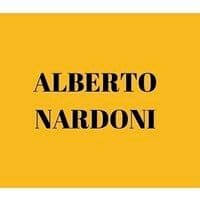 Alberto Nardoni color logo
