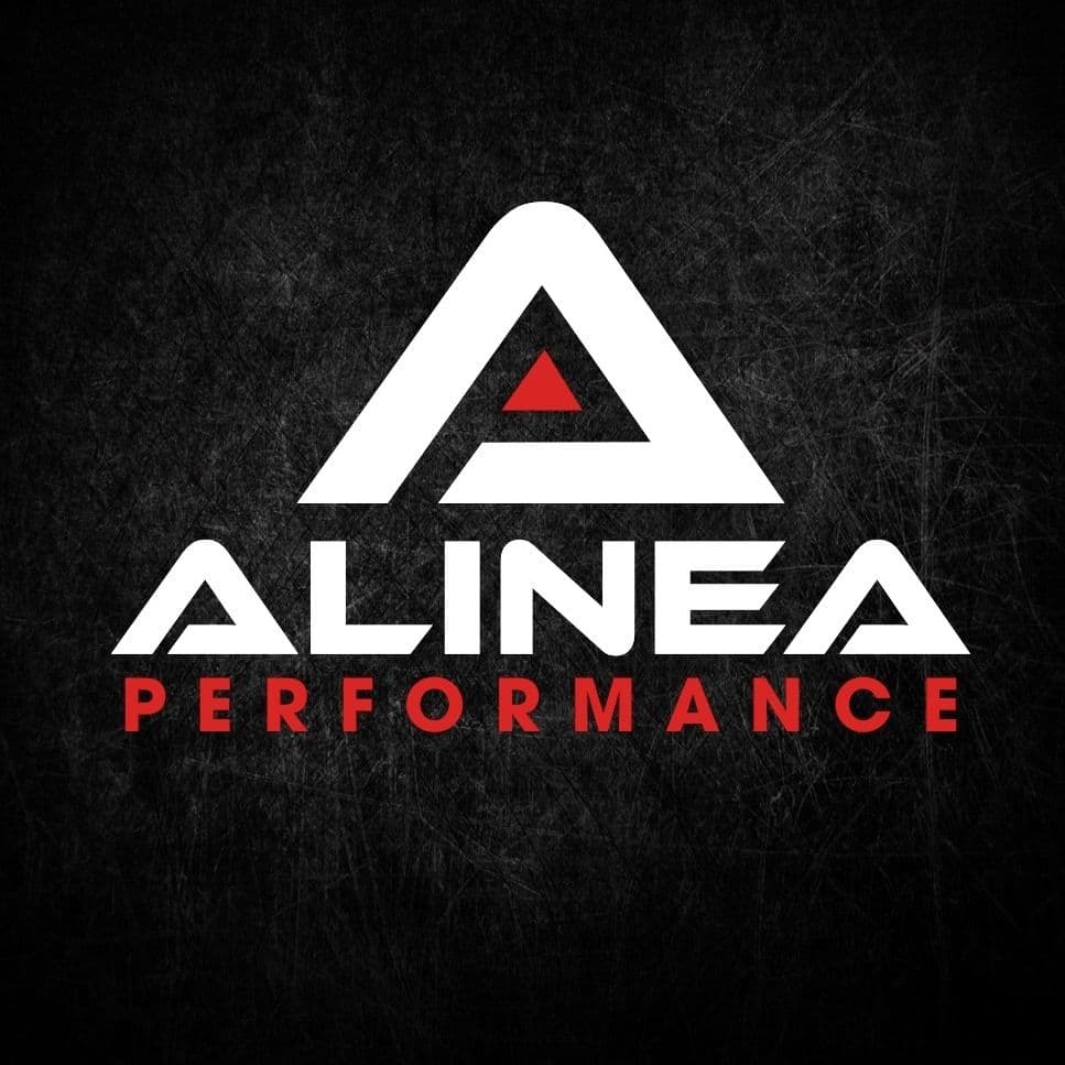 Alinea Performance color logo