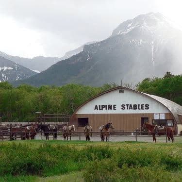 Alpine Stables color logo