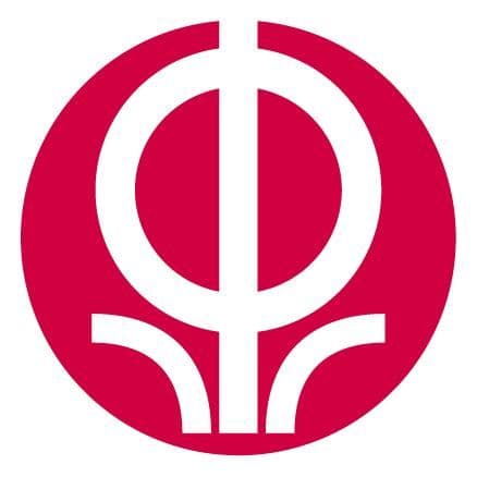 Amazing Oriental color logo