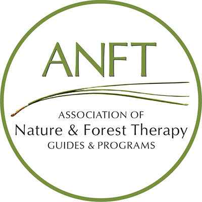 ANFT color logo