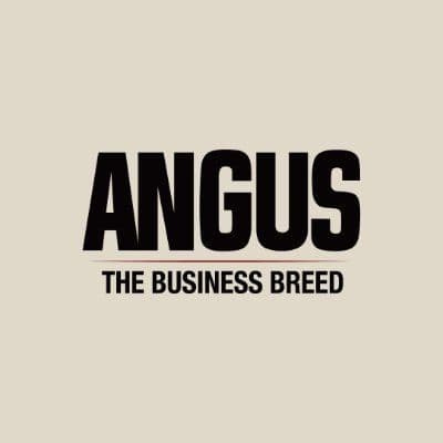 American Angus Association color logo