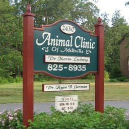 Animal Clinic of MLV