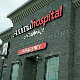 AnimalHospCambridge