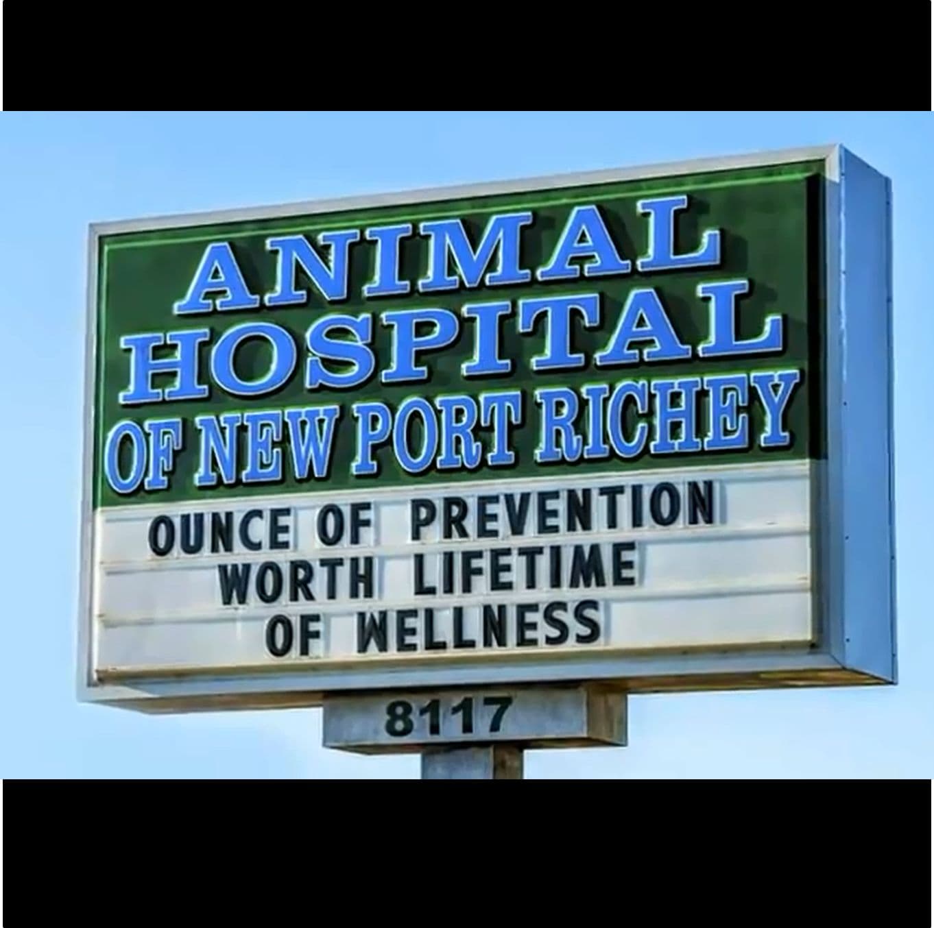 Animal Hospital of New Port Richey color logo