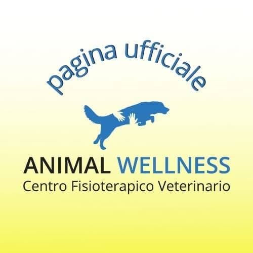 Animal Wellness fisioterapia color logo