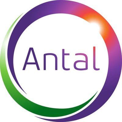 Antal International color logo