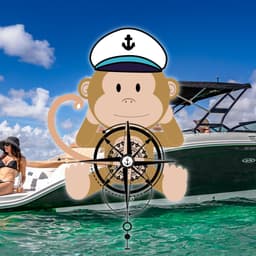 Aquarius boat tours