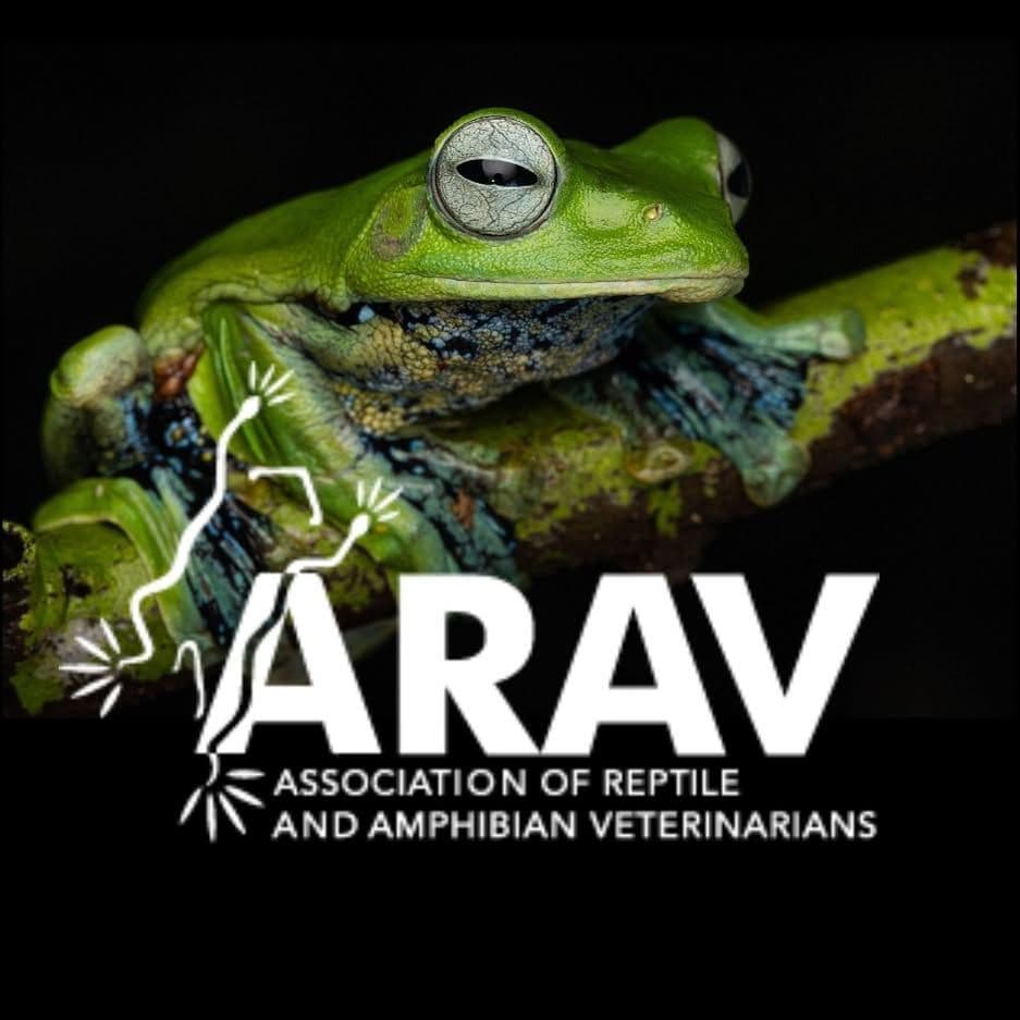 Association of Reptile and Amphibian Veterinarians color logo