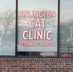 Arlington Cat Clinic