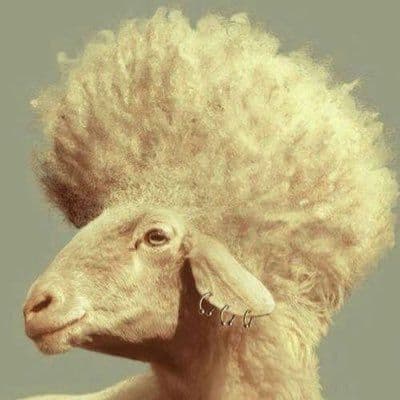 Art Sheep color logo
