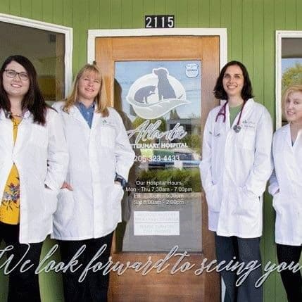 Atlantic Veterinary Hospital | Seattle WA color logo
